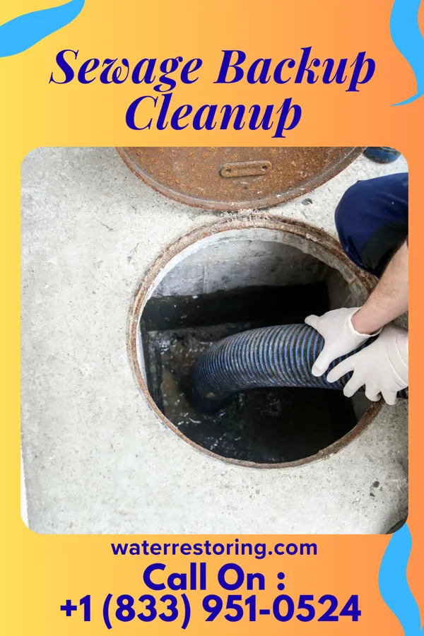Sewage Backup Cleanup in Mountain Lakes, NH