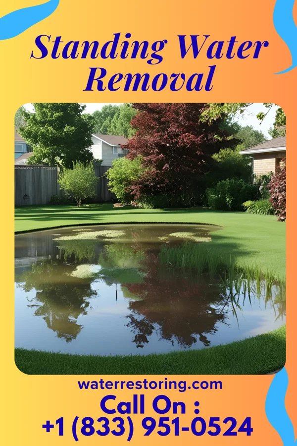 Standing Water Removal in Mountain Lakes, NH